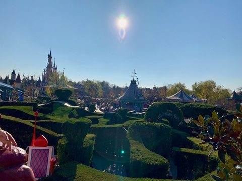 Alice's Curious Labyrinth